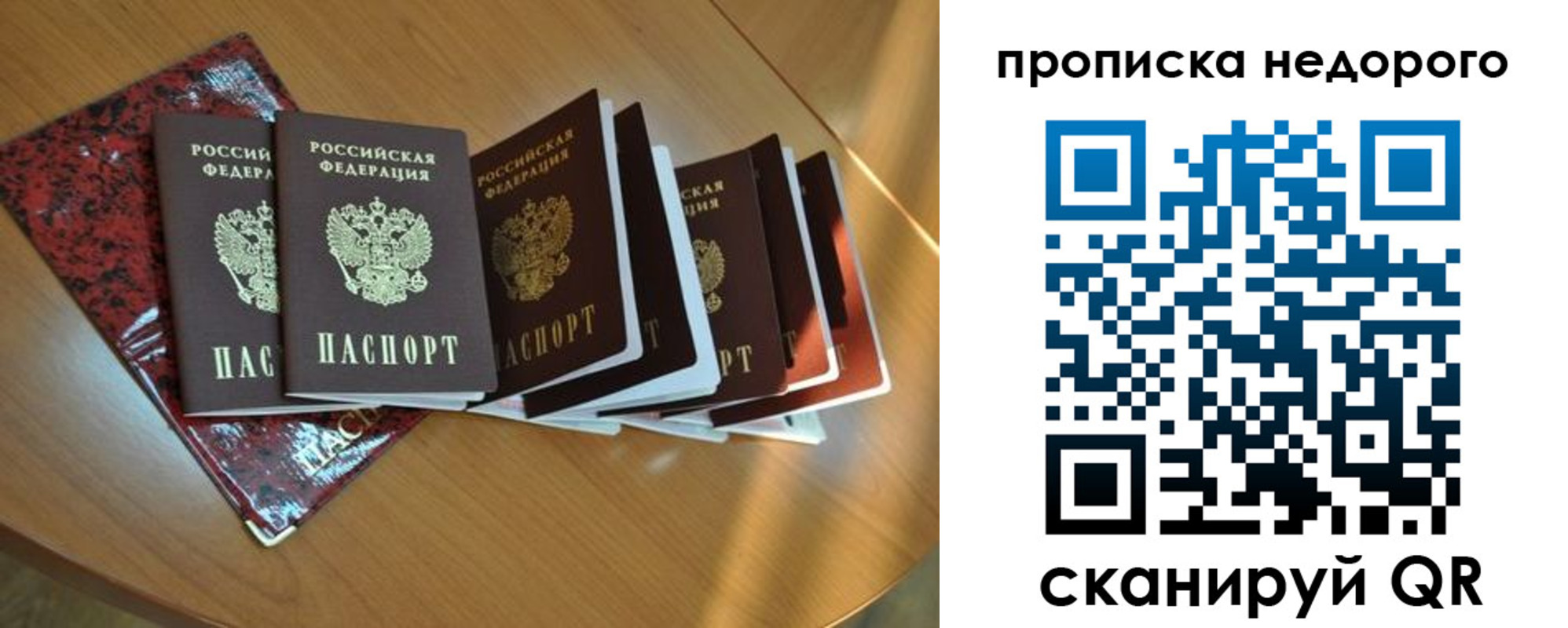 прописка штамп в Славгороде